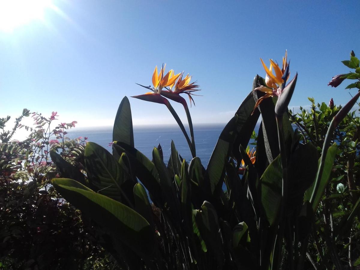 Apartamento Do Sol Arco da Calheta  Eksteriør bilde