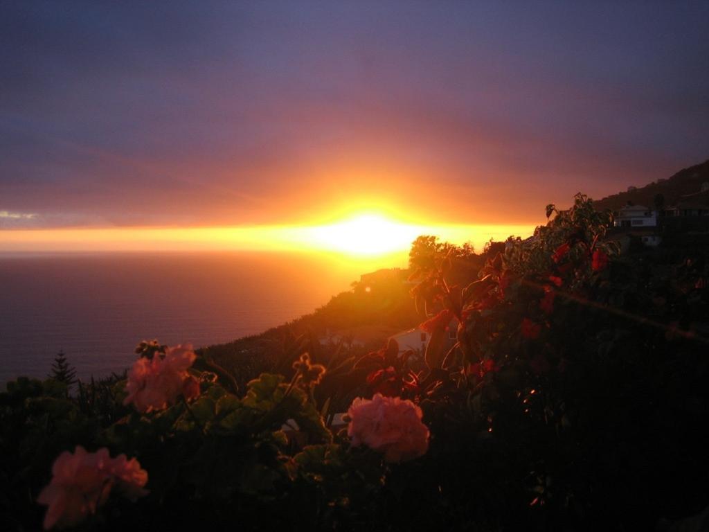 Apartamento Do Sol Arco da Calheta  Eksteriør bilde